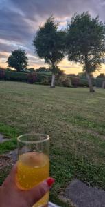 Romas Retreat chalet, Hemsby