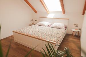 Apartmány Pod Hradem Potštejn