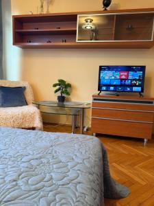 Scenic Centrum Apartments