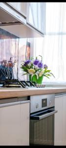 AMBER Studio - 3hvězdičkové hotely ve městě Craiova