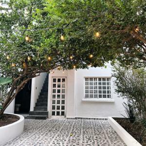 Luxe Polanco Home Private Yard TVs in Each Room