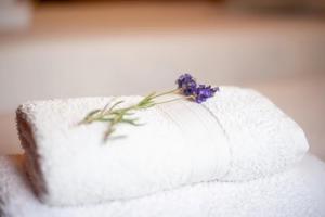 Casa rural Txorrota Txortako Txikia Selva de Irati