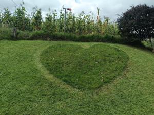 Eco-cabaña piemonte