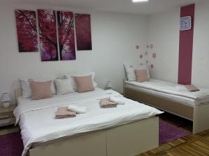 Zlatiborski Andjeo, apartmani Gaga