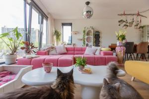 Villa Lollipop, Amsterdam North