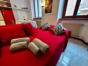 Red Oasis In Center Of Udine