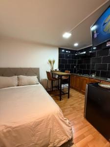 Punta Arenas loft