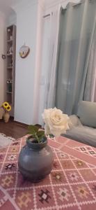 Cozy 1-Bedroom Apartment in Shourouk City