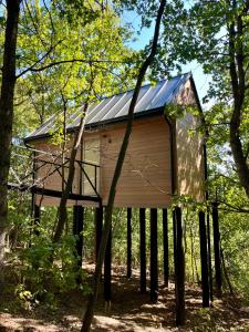 Furo Treehouse