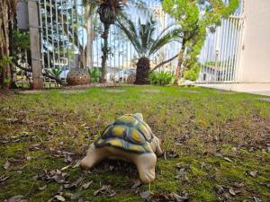 Casa no Centro de Foz 2 quartos e 2 banheiros