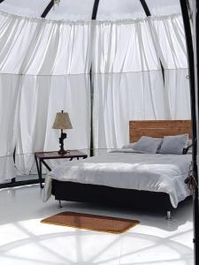 SAN ALEJO- CABAÑAS Y CAMPING