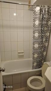 apartment Santiago downtown Paseo Bulnes