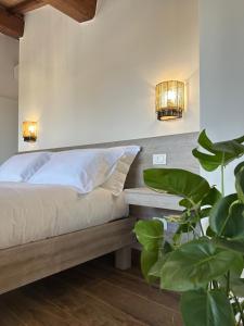 Under The Tuscan Sun