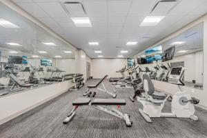 DT Gym Pet Friendly 1 Bus to Clinic or CSU