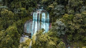 Silvery Bungalows en el Bosque