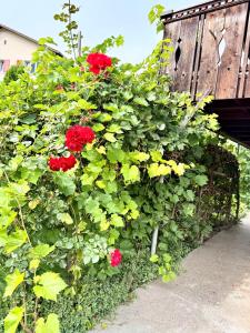 Wundervolle Alpenferien in Frutigen