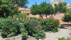 B&B Antica Villa img69