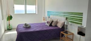 Radazul Paraíso Beach - Dive