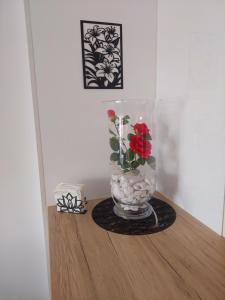 Apartman TRI KRALJA 1