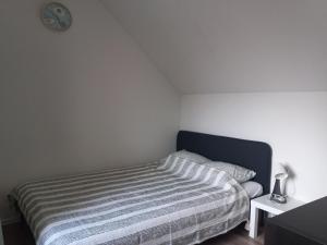 Сјајни лешник