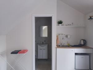 Сјајни лешник