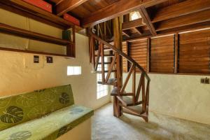 Wildlife Oasis Surf, Rainforest, Animals