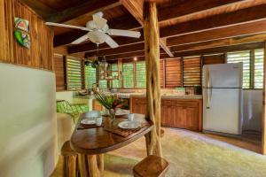 Wildlife Oasis Surf, Rainforest, Animals