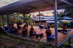 Rainforest Glamping, Forest Bathing in the Osa Region