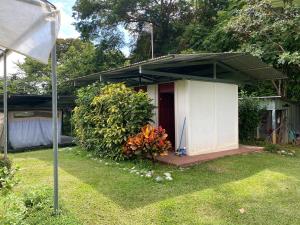 Rainforest Glamping, Forest Bathing in the Osa Region