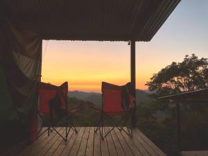 Rainforest Glamping, Forest Bathing in the Osa Region