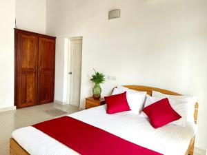 New Olive Villa