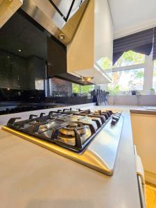 4 Bedroom House with Garden in Islington