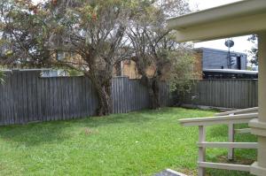 Jupiter Crescent Head