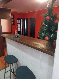 Serra da Estrela Superior Dany Flat