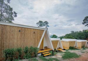 Morning Cloud - Chiang Mai