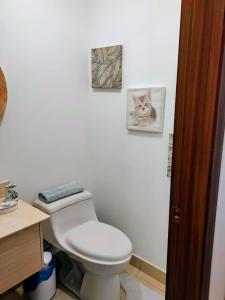 Suite minimalista con vista a los volcanes