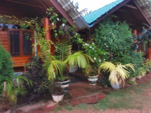 Dots bey beach cabanas