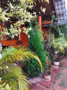 Dots bey beach cabanas