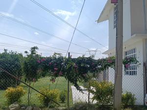 Casa Jardín Los Potreros