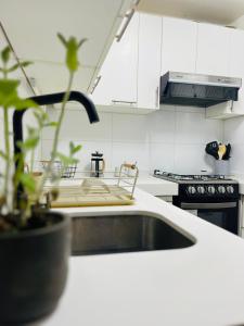 Departamento Claude Viña del Mar