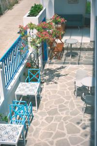 Ivory Blue Ninh Chử