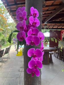 Fazenda Retiro Casa de Campo