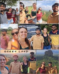 Green land tree house sigiriya