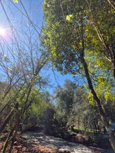 Cabaña Selva Misionera