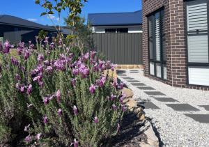 The Retreat Modern Cosy Stylish