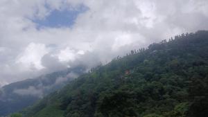 Orange Garden Homestay