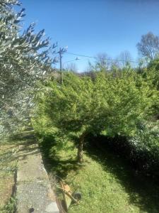 Villa Sigerico apartment