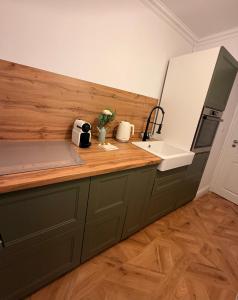 Cozy Apartment Timisoara