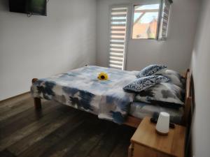 Apartman Dunav Plus deveti oktobar 22