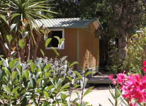 Complexes hoteliers Camping La Pinede : photos des chambres